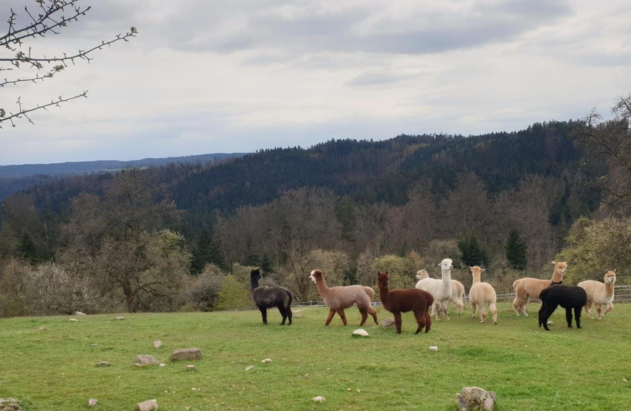 Lana Salta Alpakas - Gemuetliche Ferienwohnungen Auf Dem Bauernhof Murrhardt Zewnętrze zdjęcie