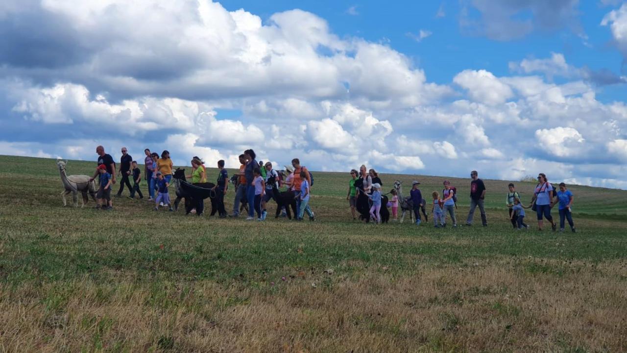 Lana Salta Alpakas - Gemuetliche Ferienwohnungen Auf Dem Bauernhof Murrhardt Zewnętrze zdjęcie