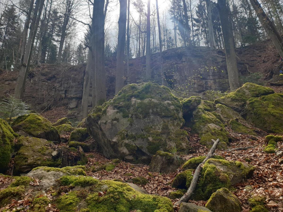 Lana Salta Alpakas - Gemuetliche Ferienwohnungen Auf Dem Bauernhof Murrhardt Zewnętrze zdjęcie